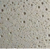 Sponge Sheet
